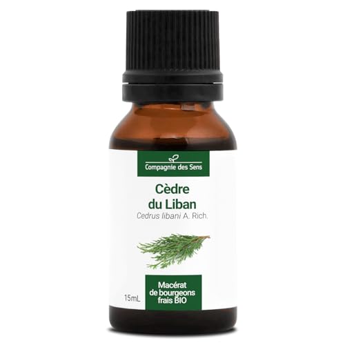 Cèdre du Liban BIO - 15mL - (Cedrus Libani) – Macérat concentré de bourgeons frais
