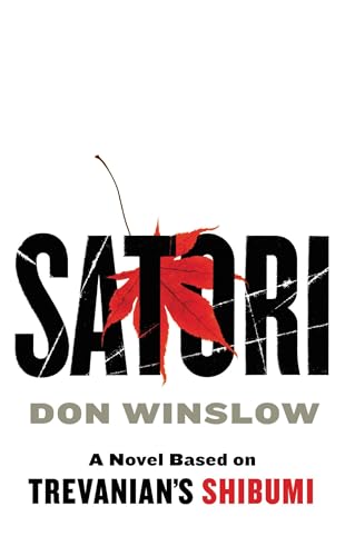 Satori view 2