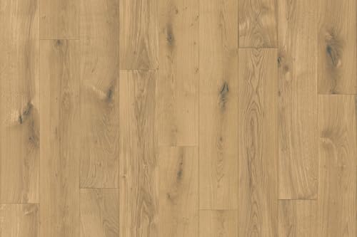 NbVtA TQc ɂLtA }WFXeBbNI[N HW-12181 2.3mm/182cm z[tA 2024-2027 ώf_ ybgh L R Ǝdグ y1mPʂł̔̔łz