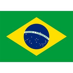 Contemporanea パンデイロ　ブラジル国旗 Amazon.co.jp: 国旗(ブラジル連邦共和国) 140×210cm 701865