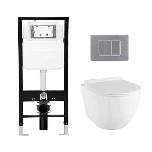 Eridanus Wall Hung Toilet Combo