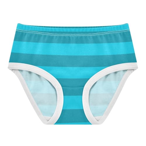 Blue Gray Stripe Toddler Girls's Underwear 2T