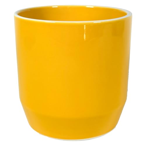 EF](Welzo) gĂ̐Aؔ A CG[ 100mm