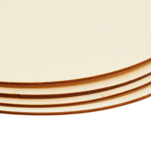 10 Inch Wooden Circles For Crafts, Unfinished Rounds For Wood Burning, Diy Signs, Painting, Decorations (10 Pack) #TOP7