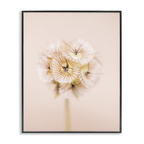Pastel Pink Floral Sprig Bloom, 11 x 14 Inch Framed Giclée Print