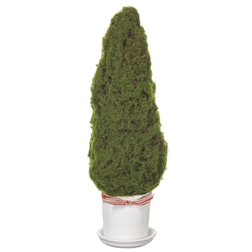 SilksAreForever 24.5