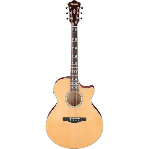 Ibanez AE170 Acoustic-electric Guitar - Natural