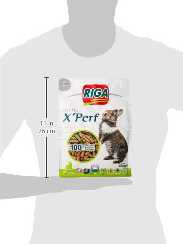Riga X'PERF dwergkonijn, 500 g - Image 7