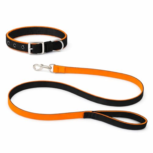 Image of Dog Leash with Padded Handle and Padded Collar Set | Adjustable Nylon Dog Collar & Heavy Duty Leash with Strong Metal Clip | Walking & Training Set for Small Medium Large Dogs
