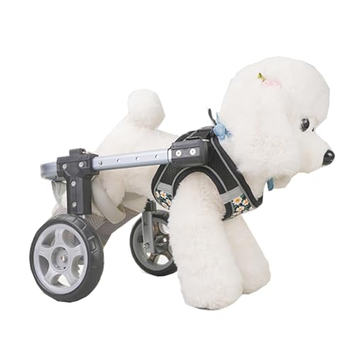 Fauteuil roulant pour chien léger chariot de transport pour pattes arrière