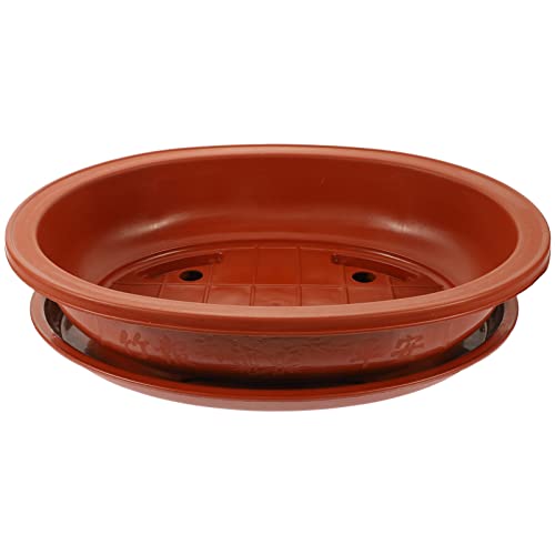 DOITOOL Bonsai Training Pots with Drainage Tray, 15 Inch Oval Bonsai Planter Pot Plastic Plants s Flower for Indoor Outdoor Garden Yard