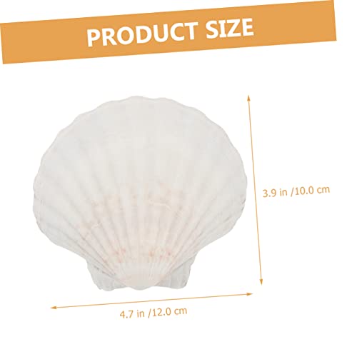 Manualidades, Toy manualidades del plato del buen comer Marca OKUMEYR (3)