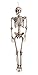 Boland 74515 – Squelette, Environ 160 cm