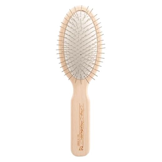 Professional Dog Brush with Stainless Steel Pins