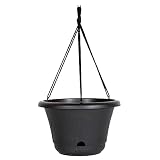 Bloem Lucca Self Watering Hanging Basket, 13", Black