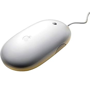 【新品】Apple 純正 USBキーボード A1243＆USBマウスA1152 Mac（Apple） 中古 アップル 純正 Apple Keyboard A1243