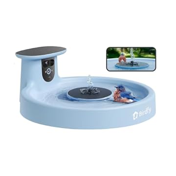 Smart Bird Baths WiFi Connected That Will Transform Your Garden Experience 1 smart bird baths wifi connected