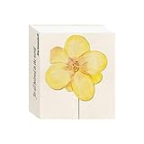 jörg immendorff haus der kunst  Jörg Immendorff. For All Beloved In The World. Feridun Zaimoglu: Ich, Immendorff: Ausst. Kat. Haus der Kunst, München 2018/19 Reina Sofia, Madrid 2019