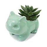 Pinsjar Cartoon Ceramic Flowerpot Glazed Pottery Succulent Pot Cute Planter Ceramic Art Vase Animal Shaped Green with Hole (Medium)
