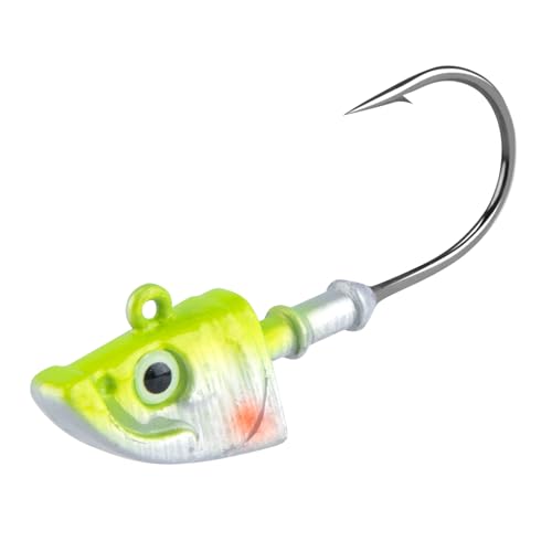 Dr.Fish 10 Pack Swimbait Jig Heads, Saltwater Fishing Jig Heads Minnow Style 3D Eyes Lead Weighted Hooks for Bass Walleye Flounder Striper Halibut Pompano Fishing, Chartreuse&Silver 3/8oz