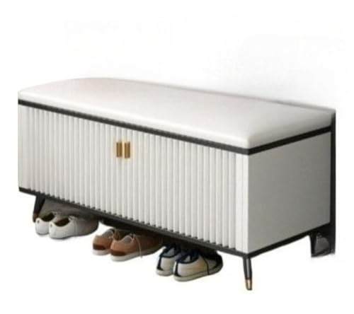 Fiozwea 靴収納ベンチ 薄型玄関収納ベンチ 室内 組み立て簡単 コンパクト 省スペース 下駄箱 (90*32*50CM,黒と金)