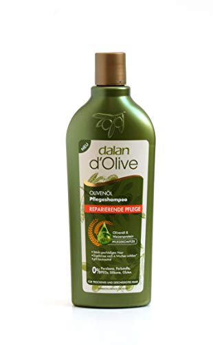 Preisvergleich Produktbild Dalan Protein Shampoo Olive 400ml