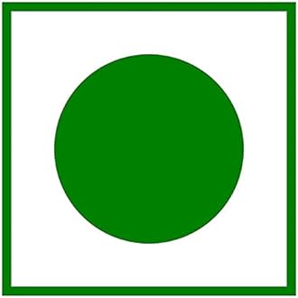 ZM First Quality Badam Pisin 100g / Almond Gum/Badam Gum