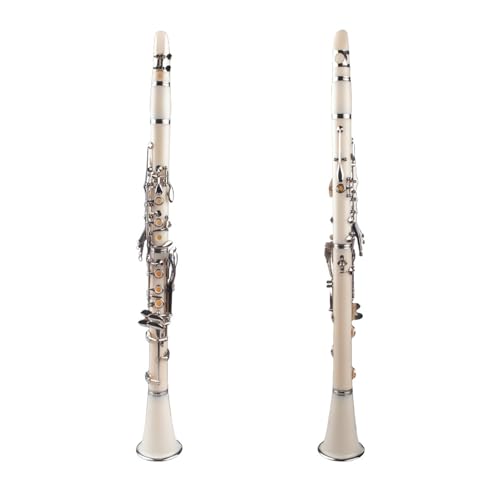 Amazon | クラリネット 樹脂クラリネット Bb ニッケルメッキ真鍮 17