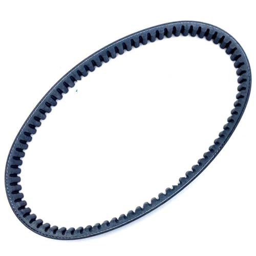 Correa de transmisión para motocicleta P 125 modelo 791 22.2 B016447
