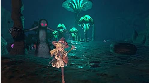 大人気新品 Little Witch Nobeta 豪華限定版 WonderGOO限定PS4 www