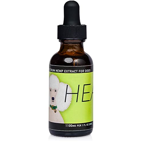 Unleash the Best: Top 10 Dog Foods for Seizures to Keep Your Furry ... - Natural Dog Food For Seizure Management