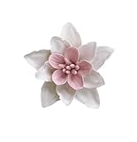 Meilleur choix de cadeau : c'est un excellent cadeau pour tous ceux qui (fille, maman, autres amises) aiment les broches ou les accessoires de mode.