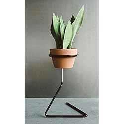 Bases Hierro Forjado Maceteros IFEX Macetero de Hierro Forjado con Base de 20cm (Verde Marfil)