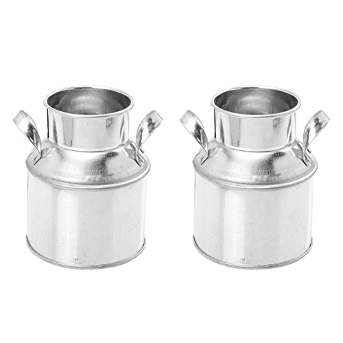 BESPORTBLE 2 Piezas Cubo de hojalata Planta Falsa Plantas Colgantes Colgador de macramé Artificial Flowers jardinerad Ornamento Micro Paisaje decoración del hogar Acero galvanizado Silver