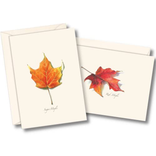 Image of Earth Sky + Water - Maple Leaf Assortment II Notecard Set - 8 Blank Cards with Envelopes (4 each of 2 styles)