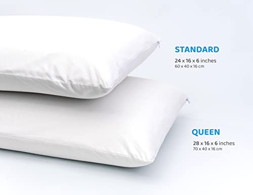 Dream Logix Talalay Natural Latex Pillow - Soft, Queen Size 28''X16''X6'' Pillow For Sleeping, Side & Stomach Sleepers, Natural Cotton Cover, High Elasticity (Soft, Queen Size 28''X16'') #TOP5
