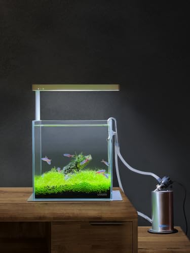 Image of LANDEN 20C 2 Gallon Cube Rimless Low Iron Clear Aquarium Tank, All Glass Aquarium,Small Betta Fish Tank,W7.8xD7.8xH7.8 in(20x20x20cm) 5mm Thickness with Nano Foam Leveling Mat