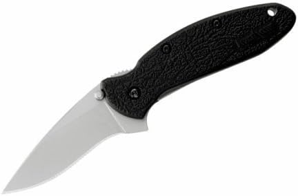 Kershaw Scallion Assisted Opening Knife Black GFN (2.25" Bead Blast) 1620