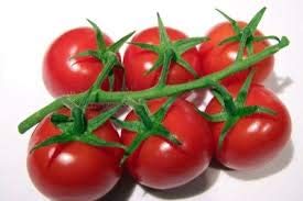 Strauchtomaten aus Frankreich 10 kg Karton