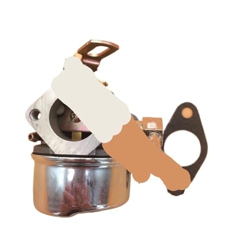 Carburateur moto et motoculture 640298 pour l'entretien d'automne et hiver