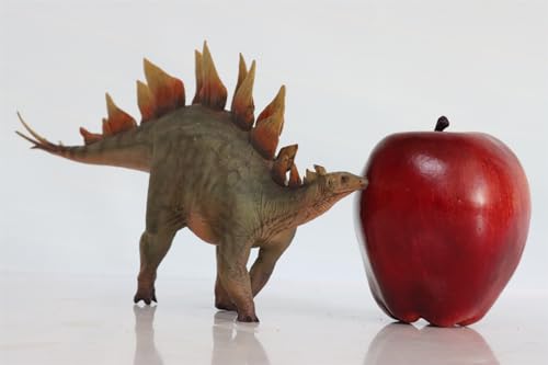 Modèle Dinosaure Stegosaurus 1:35 Vert AMITD Figurine de Collection - 5