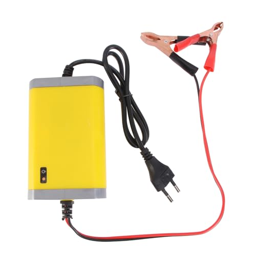 SEWOART Caricabatteria per Auto e con Display LED Ricarica Automatica Intelligente Protezione e Mantenimento Batteria per Veicoli e Attrezzi Elettrici