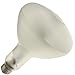 Industrial Performance 250SB/MED/R40 120V, 250 Watt, R40, Medium Screw (E26) Base Light Bulb (1 Bulb)