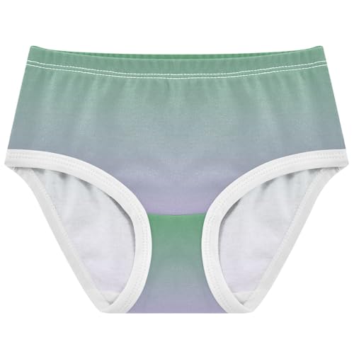 Joisal Clover Green Mauve Gradient Panties Little Girl Girls Underwear Toddlers Cotton Florals Briefs Undies Kids 2t
