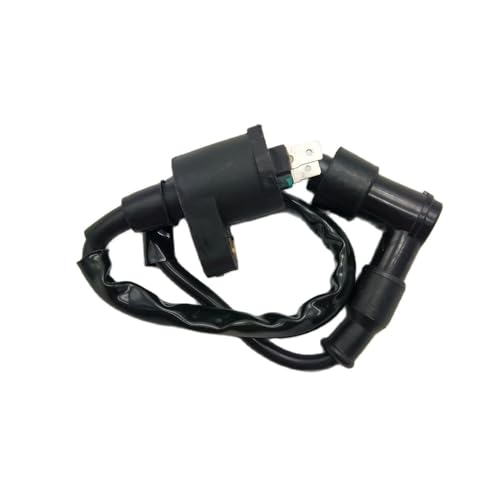 Bobina de encendido compatible con TRX300 y O90