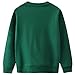 Bumeex Toddler Boy Sweatshirt Clothes Spring Fall Winter Long Sleeve Shirt Fashion Top Clothing Outfits Green Zebra 3t