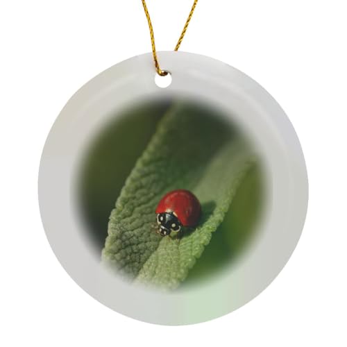 Circle Ornament: Ladybird Beetle on Sage
