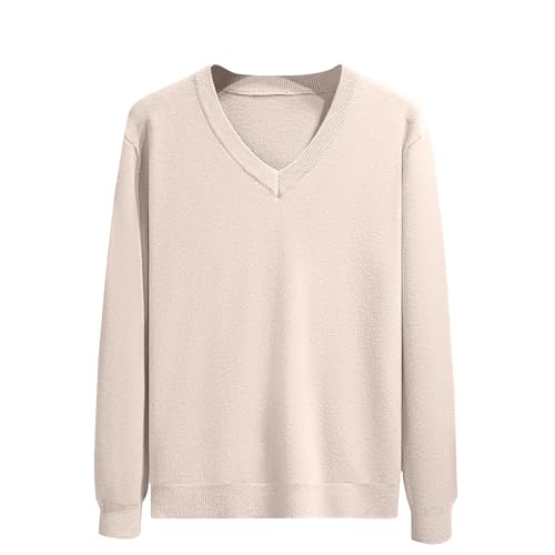 Men's V Neck Long Sleeve Sweater Business Casual Slim Fit Pullover Fall Winter Lightweight Soft Sweaters Solid Basic