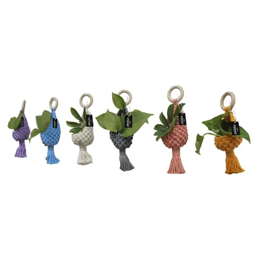 Decorative Mini Plant Hangers with Tassels, Macrame Knitted Design, Set of 6, Purple Blue White Gray Pink Orange