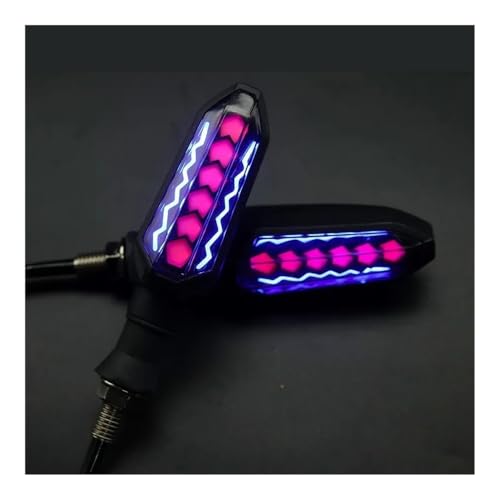 Clignotant LED pour CB500X et MSX 125, indicateur de direction moto - 2